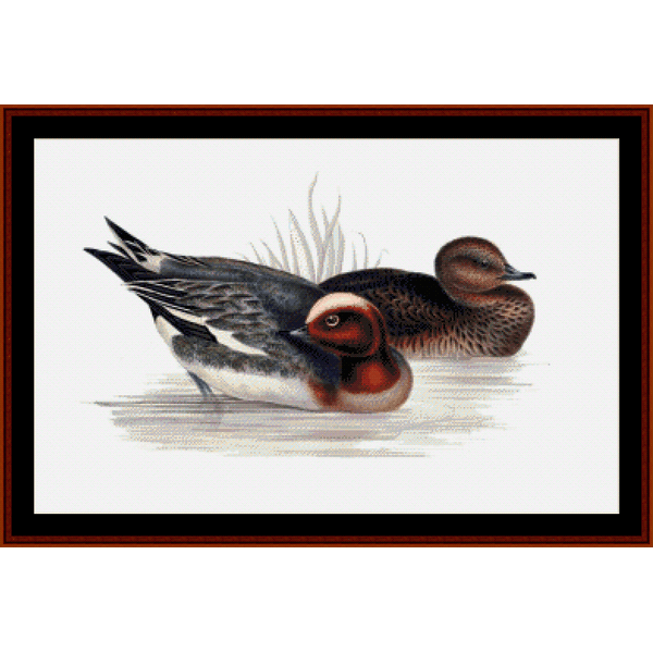 Widgeons - Wildlife pdf cross stitch pattern